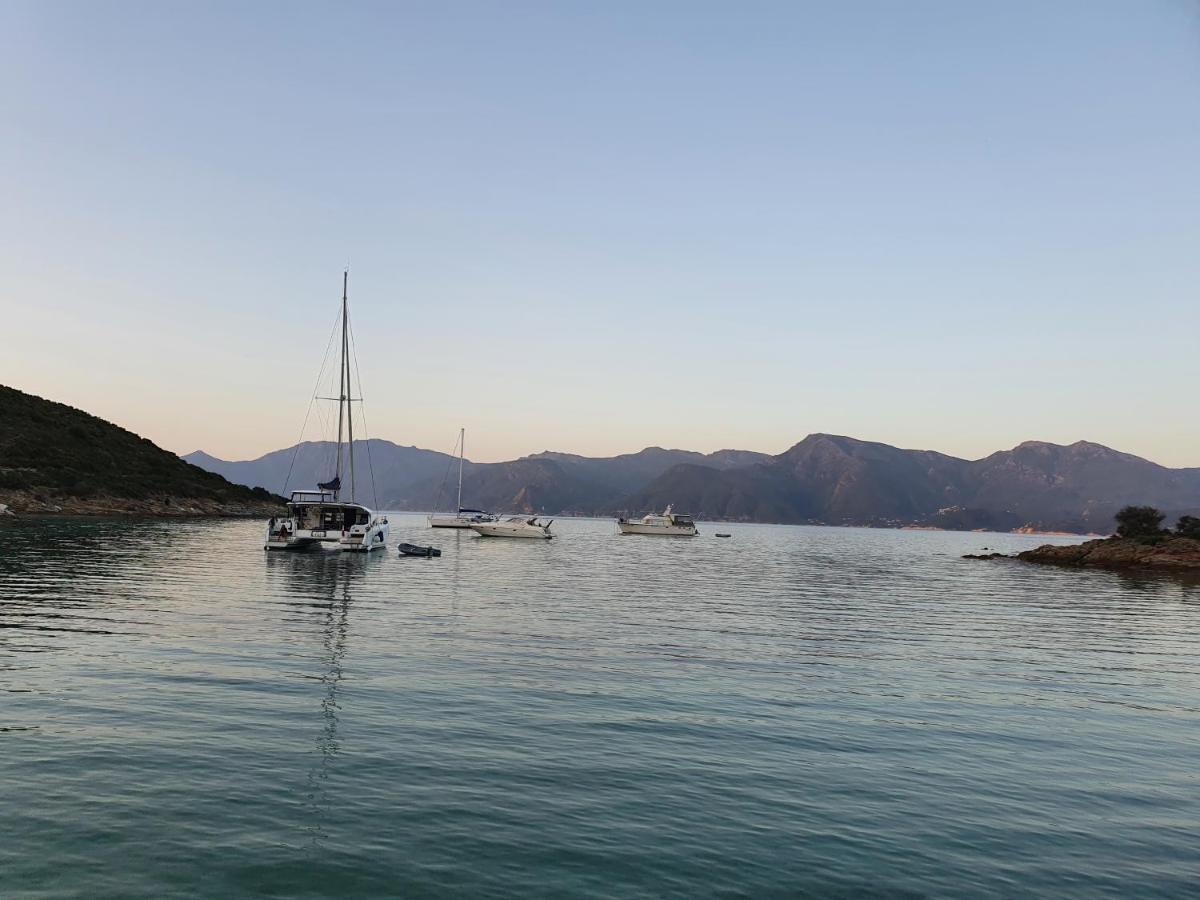 Les Palmiers -stretta Di I Mandarini Apartment Lucciana (Corsica)
